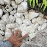 LOTTO 356 - Saccone da 12-13 Quintali di Ciottolo Bianco Thasos 6-10 cm